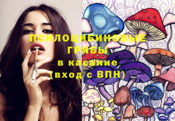 метадон Алексин