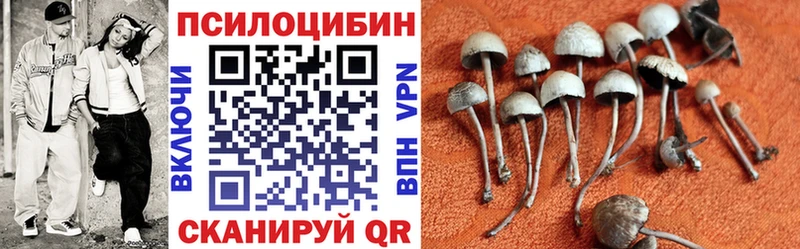 Галлюциногенные грибы прущие грибы  Заинск 