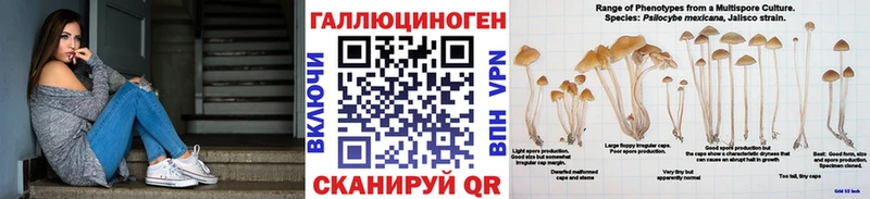 Псилоцибиновые грибы прущие грибы Заинск