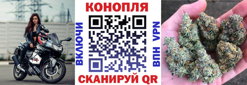 купить наркоту  Заинск  Бошки марихуана Ganja 